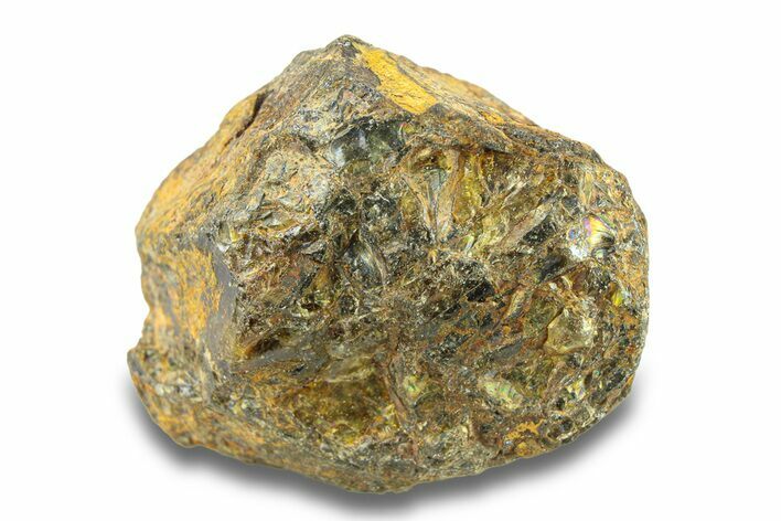 Pallasite Meteorite ( g) - NWA #281423